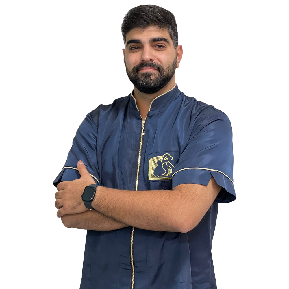 امیرحسین خورسندی